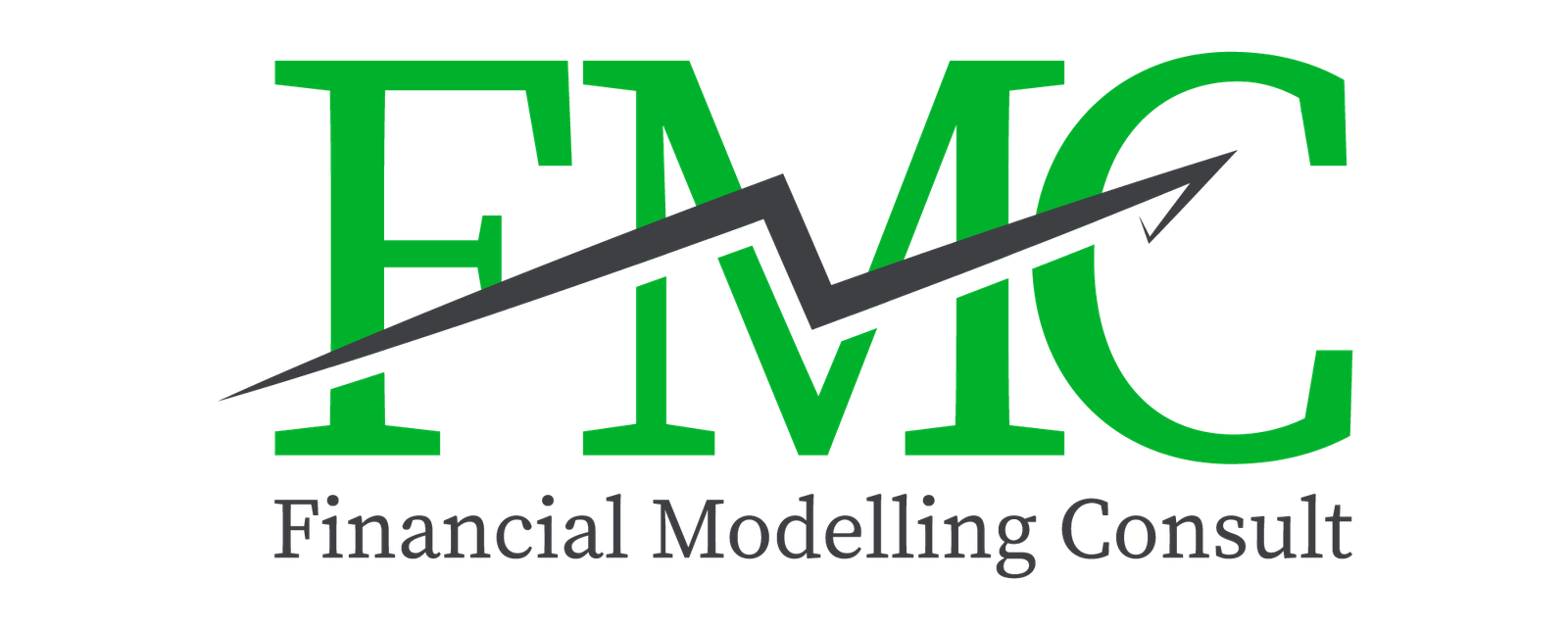 Financial Modeling Consult